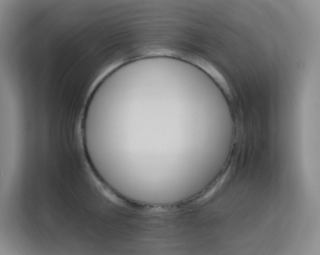 X0000113890806200909241141
