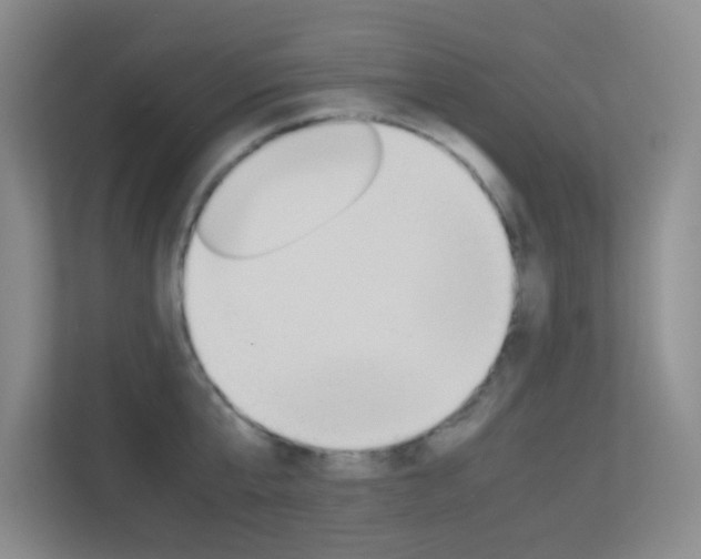 X0000113890807200909241141