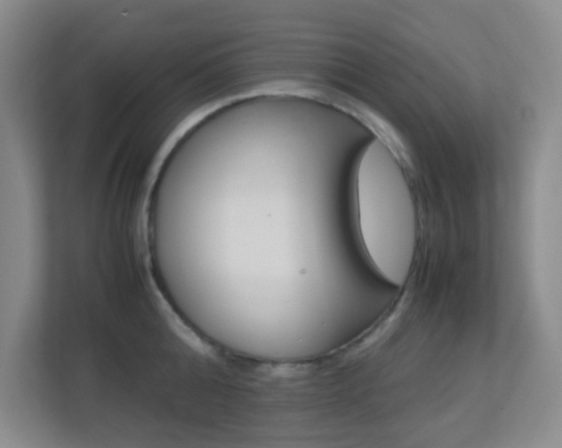 X0000113890808200909241141