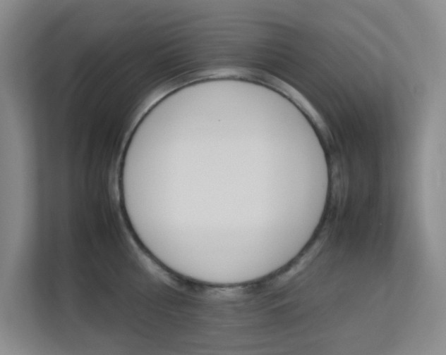X0000113890810200909241141