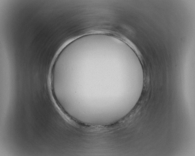 X0000113890811200909241141