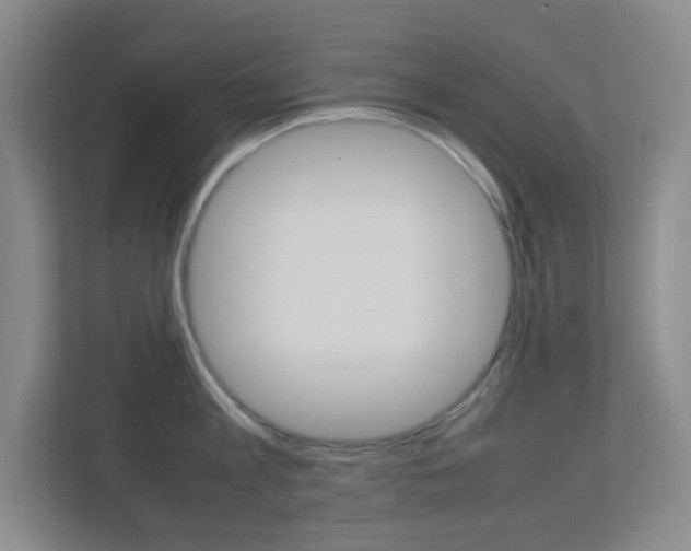 X0000113890813200909241141