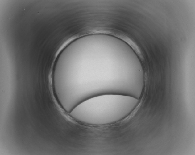 X0000113890814200909241141