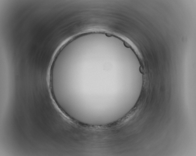 X0000113890815200909241141