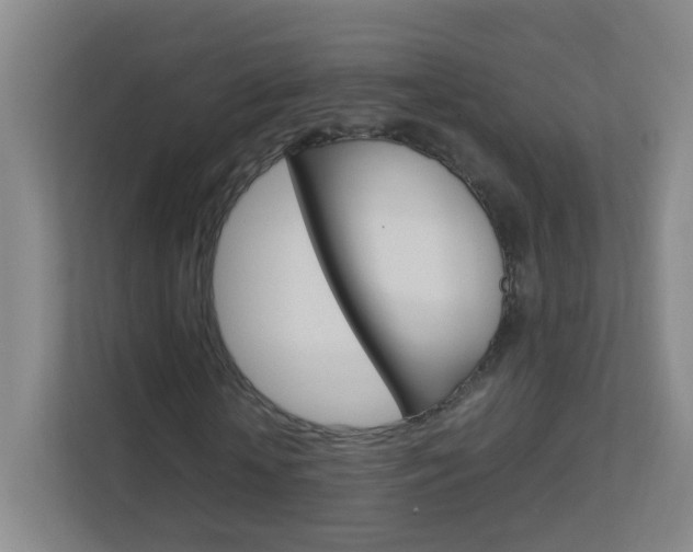 X0000113890818200909241140