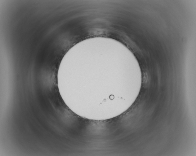 X0000113890820200909241140