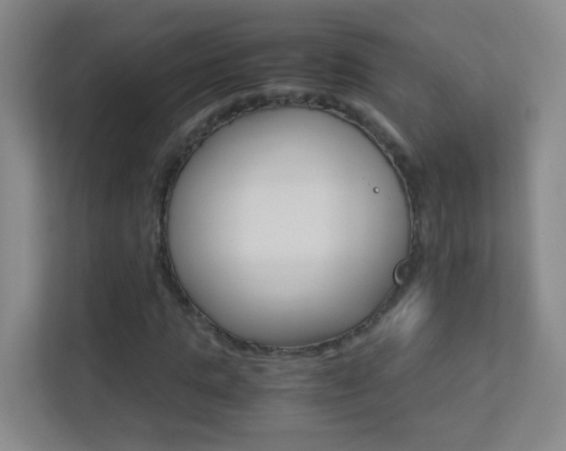 X0000113890821200909241140