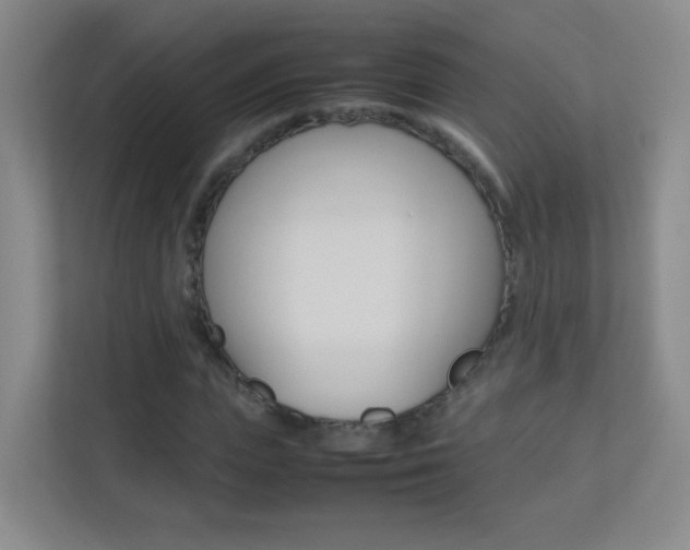 X0000113890823200909241140