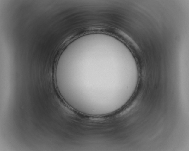 X0000113890825200909241140