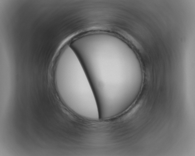 X0000113890830200909241140