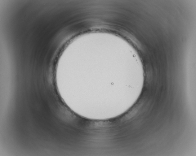 X0000113890832200909241140