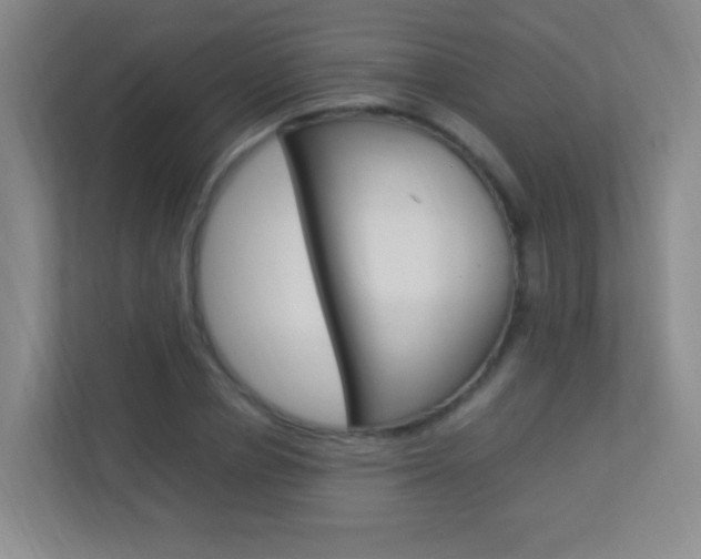 X0000113890834200909241140