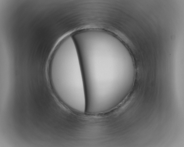 X0000113890838200909241140