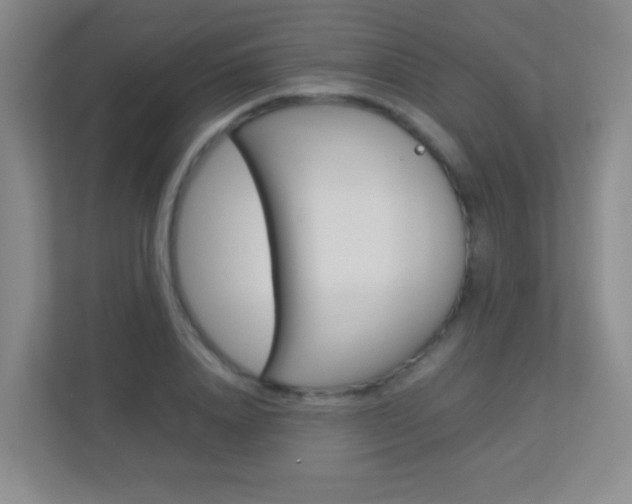 X0000113890840200909241140