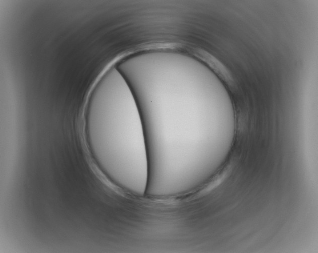 X0000113890844200909241141