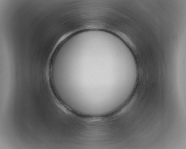 X0000113890846200909241141