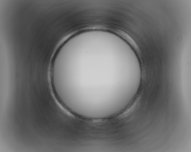 X0000113890847200909241141