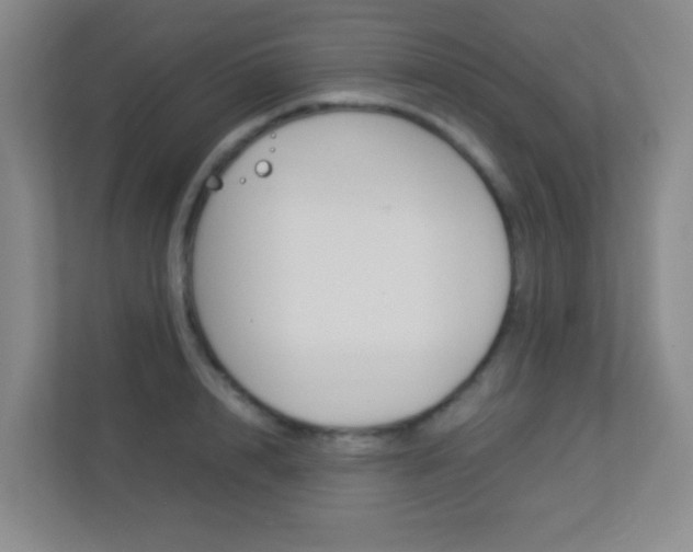 X0000113890848200909241141
