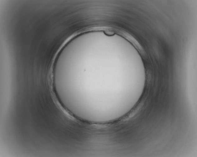 X0000113890852200909241141