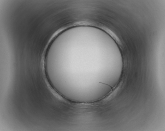 X0000113890854200909241141
