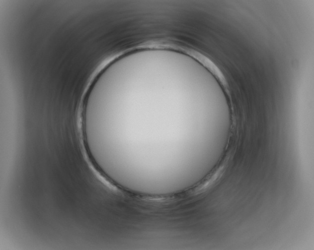 X0000113890855200909241141