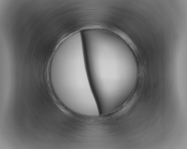 X0000113890858200909241141