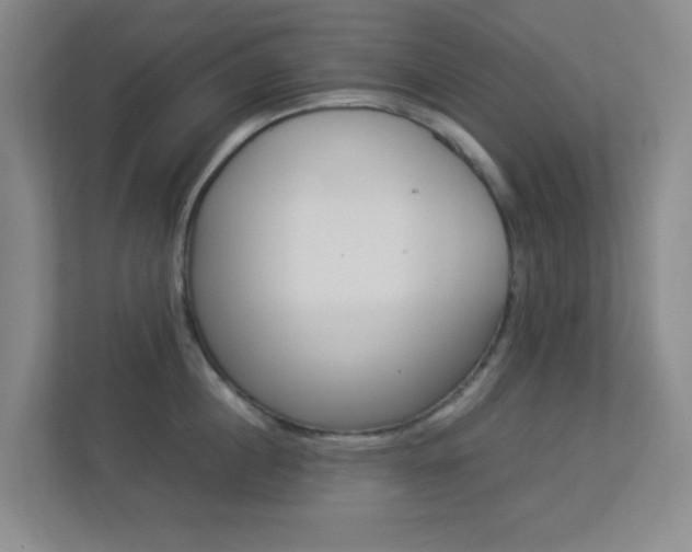 X0000113890860200909241141