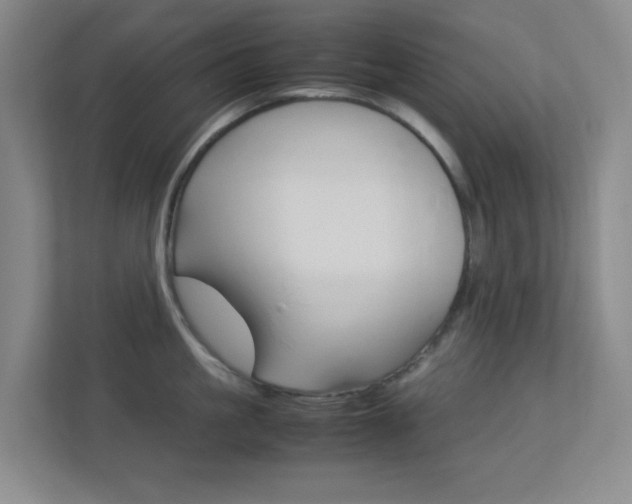 X0000113890861200909241141
