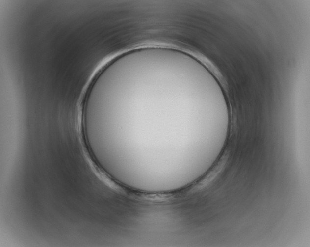 X0000113890862200909241141