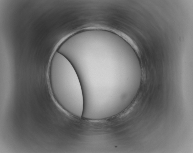 X0000113890863200909241141