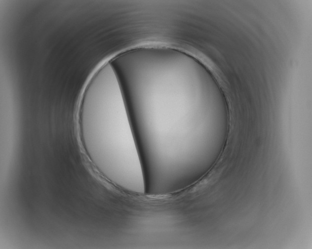 X0000113890864200909241141