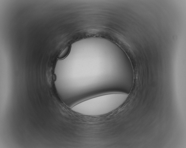 X0000113890868200909241140