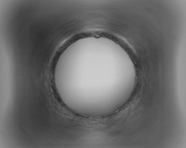 X0000113890871200909241140