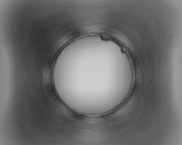 X0000113890873200909241140