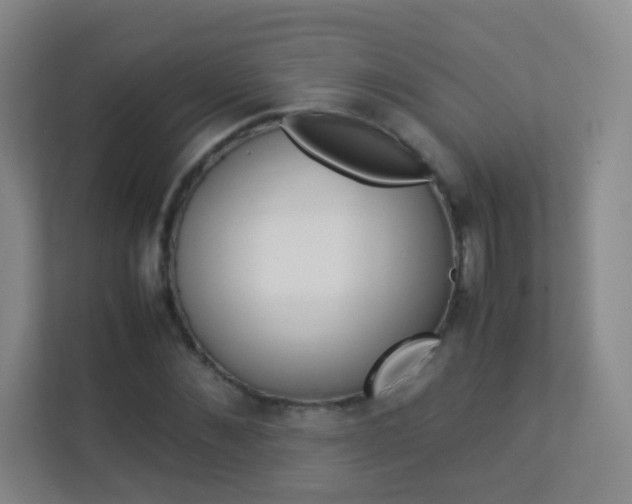 X0000113890876200909241140