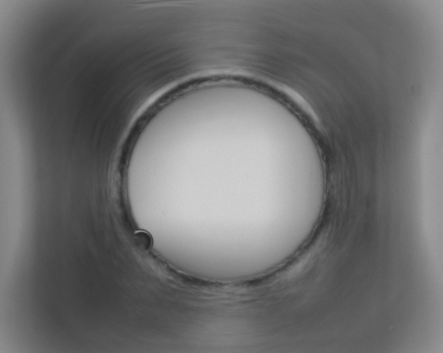 X0000113890879200909241140