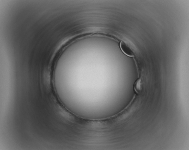 X0000113890880200909241140