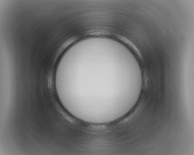 X0000113890882200909241140
