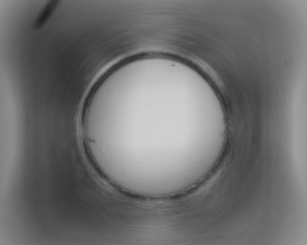X0000113890887200909241140