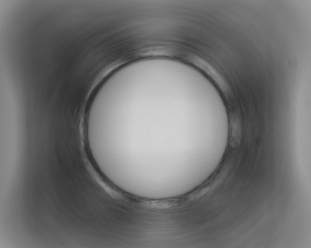X0000113890890200909241140