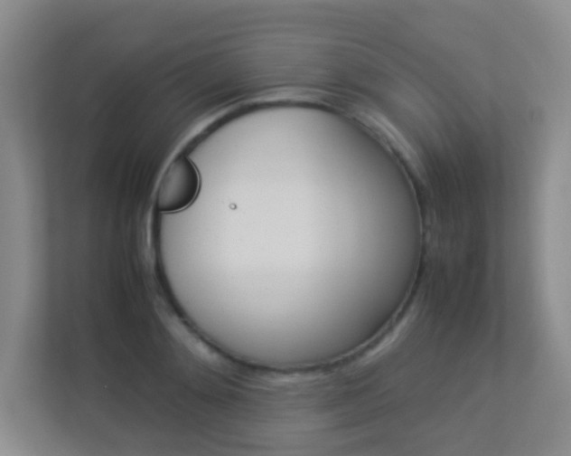 X0000113890892200909241140