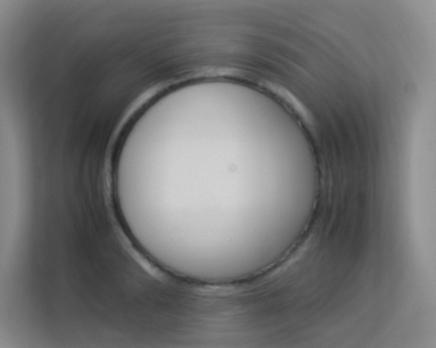 X0000113890894200909241140