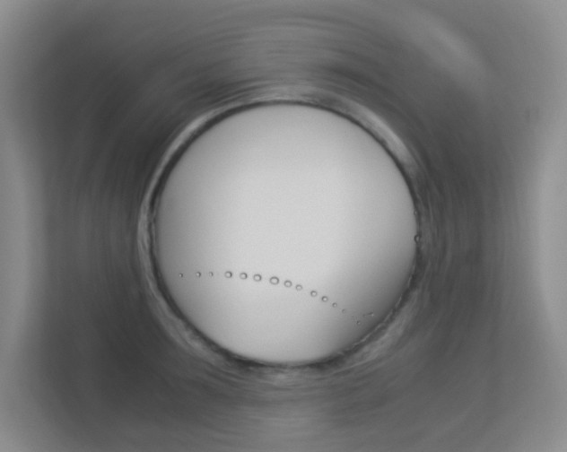X0000113890899200909241140