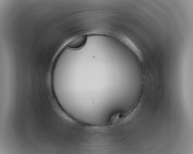 X0000113890900200909241140