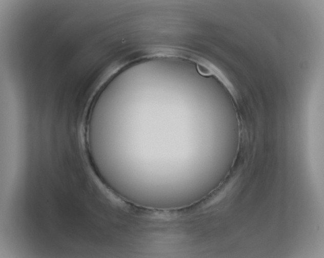X0000113890901200909241140