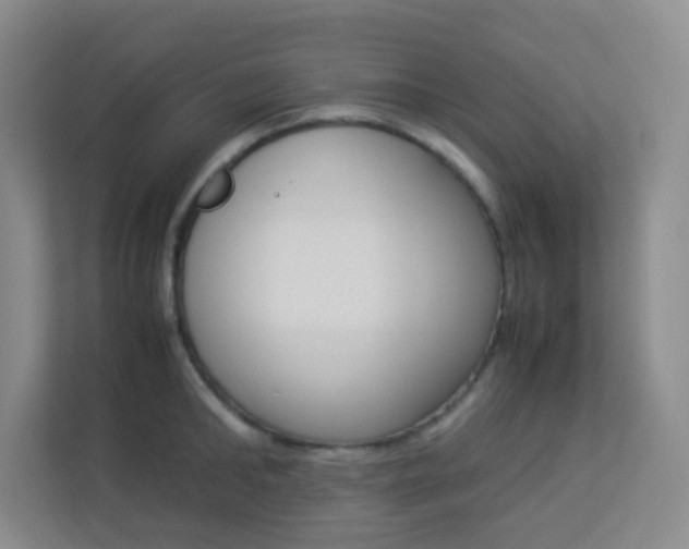 X0000113890902200909241140