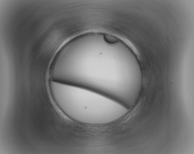 X0000113890903200909241140