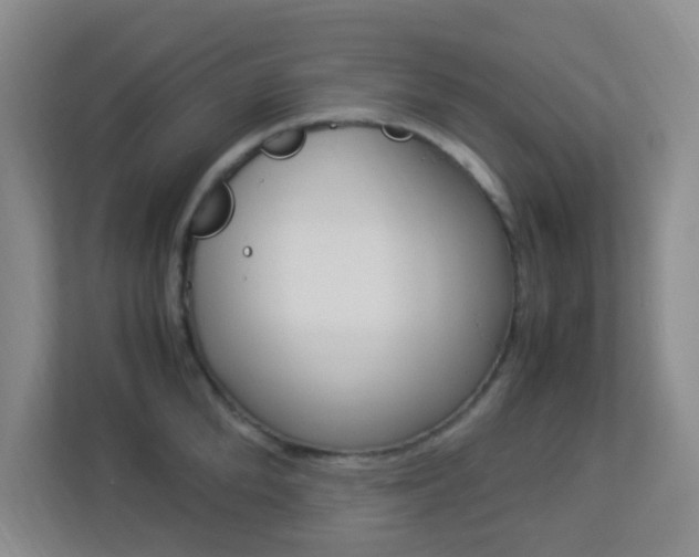 X0000113890904200909241140