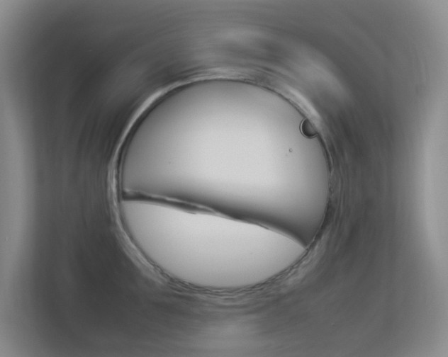 X0000113890907200909241140