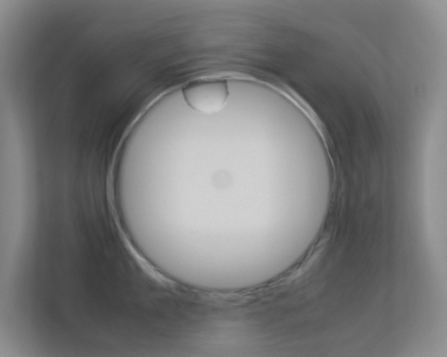 X0000113890909200909241140